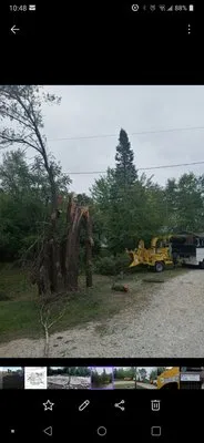 JGL Trees & Lawn Care Logo