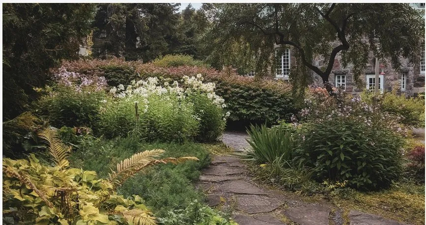 Local lawn mowing service for year-round maintenance in Mundelein, IL by JGM Landscaping