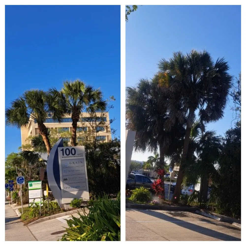 Reliable garden landscaping in Bradenton, FL by JGP Tree Service