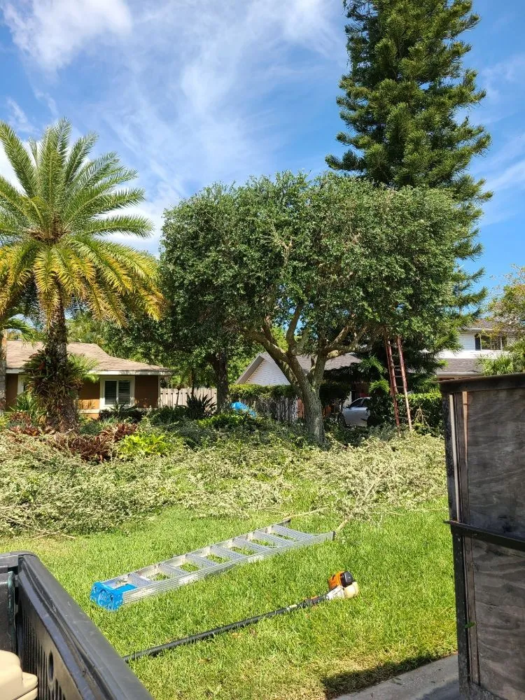 Professional yard maintenance experts serving Bradenton, FL - JGP Tree Service