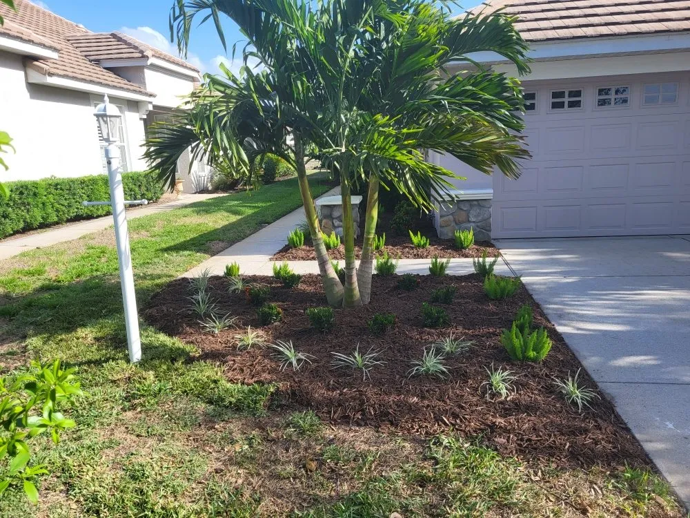 Expert yard cleanup service in Bradenton, FL by JGP Tree Service