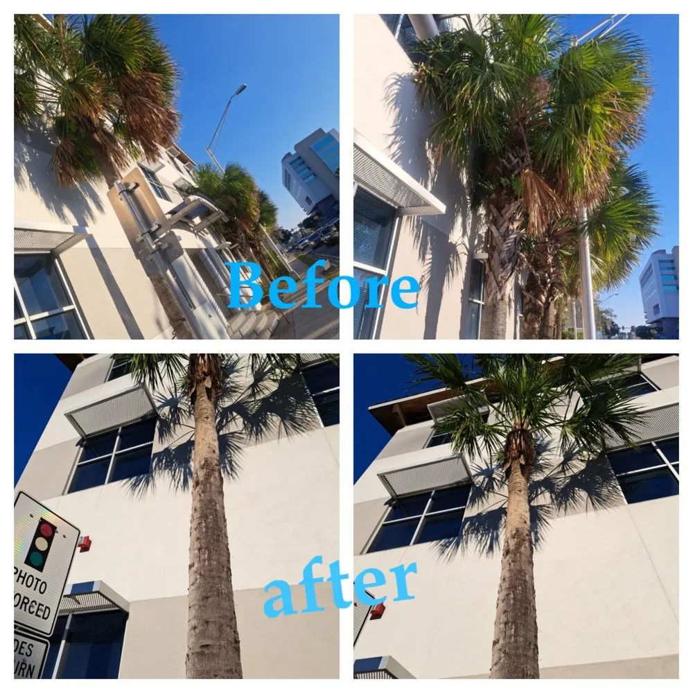 Expert landscape design in Bradenton, FL - JGP Tree Service