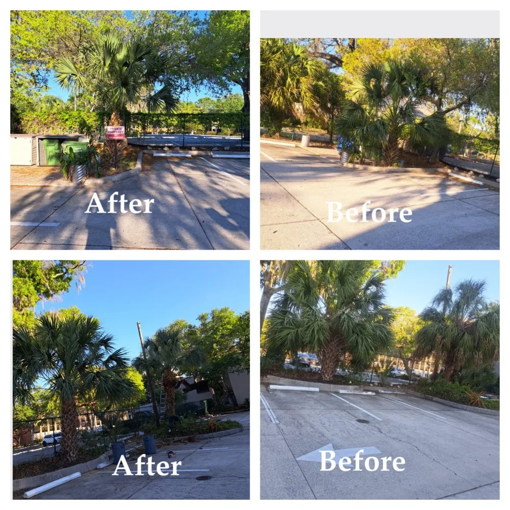 Affordable landscape installation in Bradenton, FL by JGP Tree Service