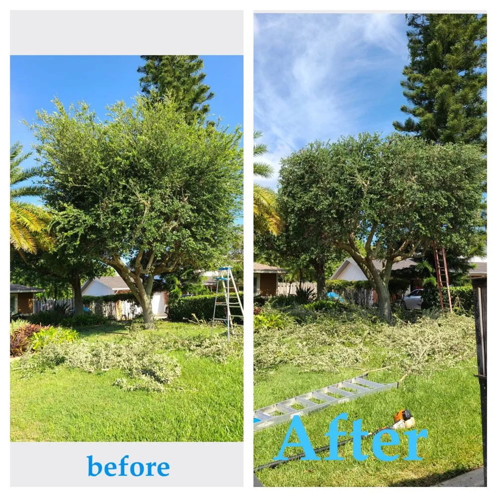 Expert yard cleanup service experts serving Bradenton, FL - JGP Tree Service