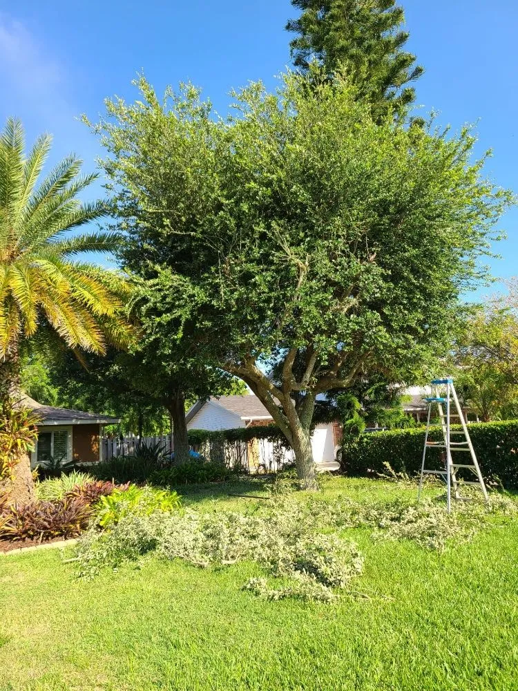 Professional garden landscaping for beautiful yards in Bradenton, FL by JGP Tree Service