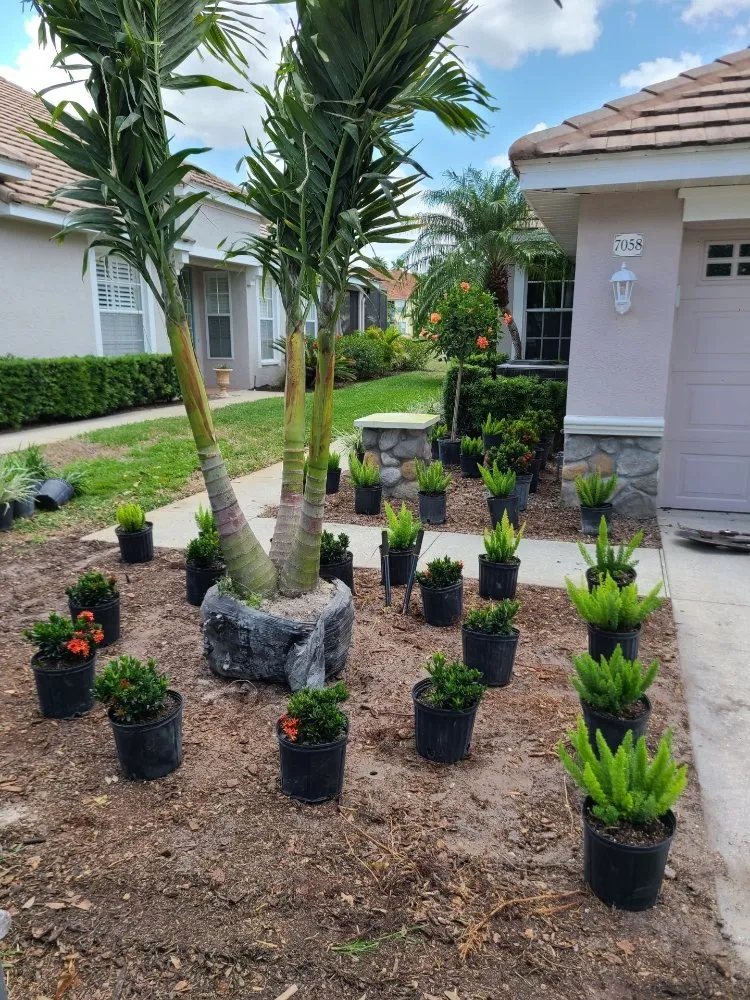 Custom outdoor landscaping in Bradenton, FL by JGP Tree Service