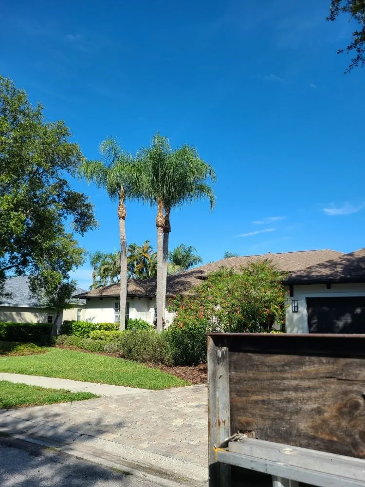 Local residential landscaping experts serving Bradenton, FL - JGP Tree Service