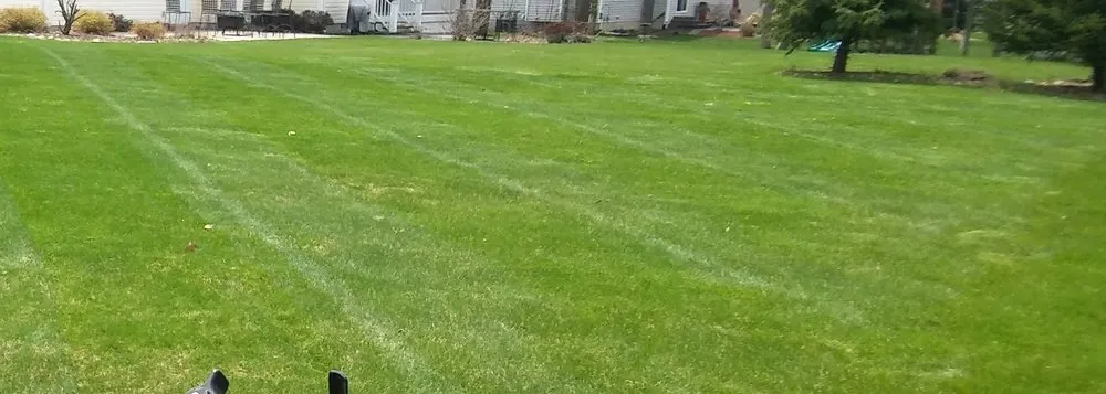 Local yard maintenance experts serving Flint, MI - J.Griffins