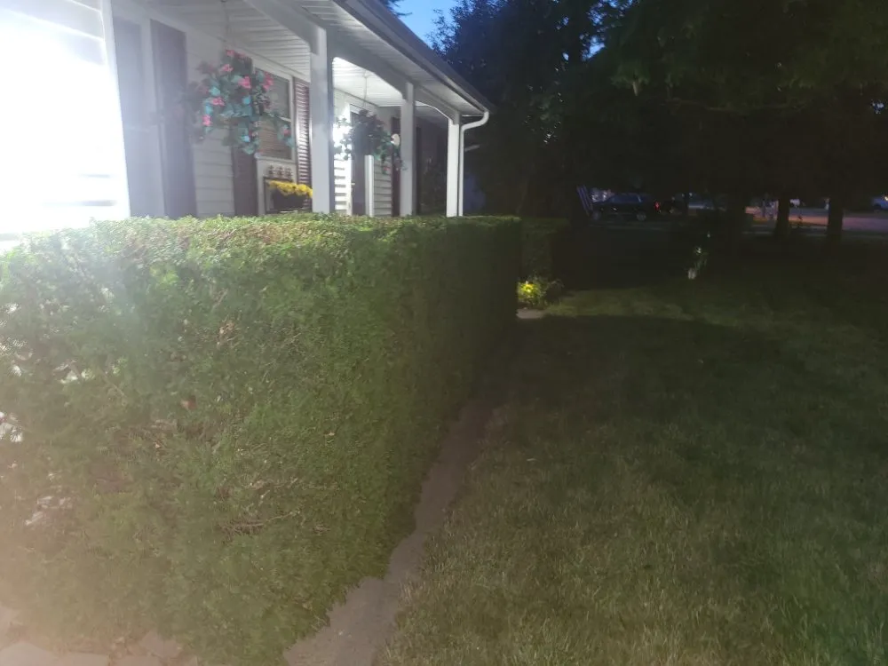 Affordable landscaping services in Flint, MI - J.Griffins