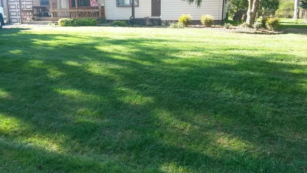 Affordable residential landscaping experts serving Flint, MI - J.Griffins