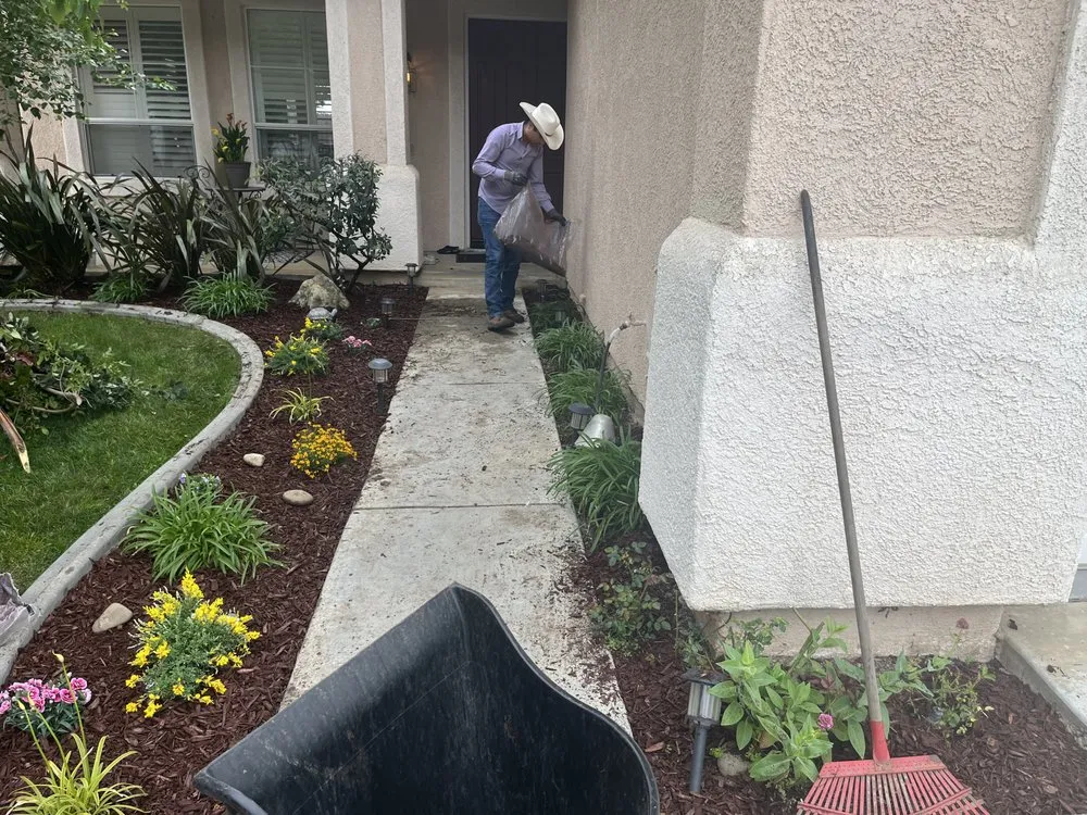 Professional yard cleanup service experts serving Oxnard, CA - JGS Landscape
