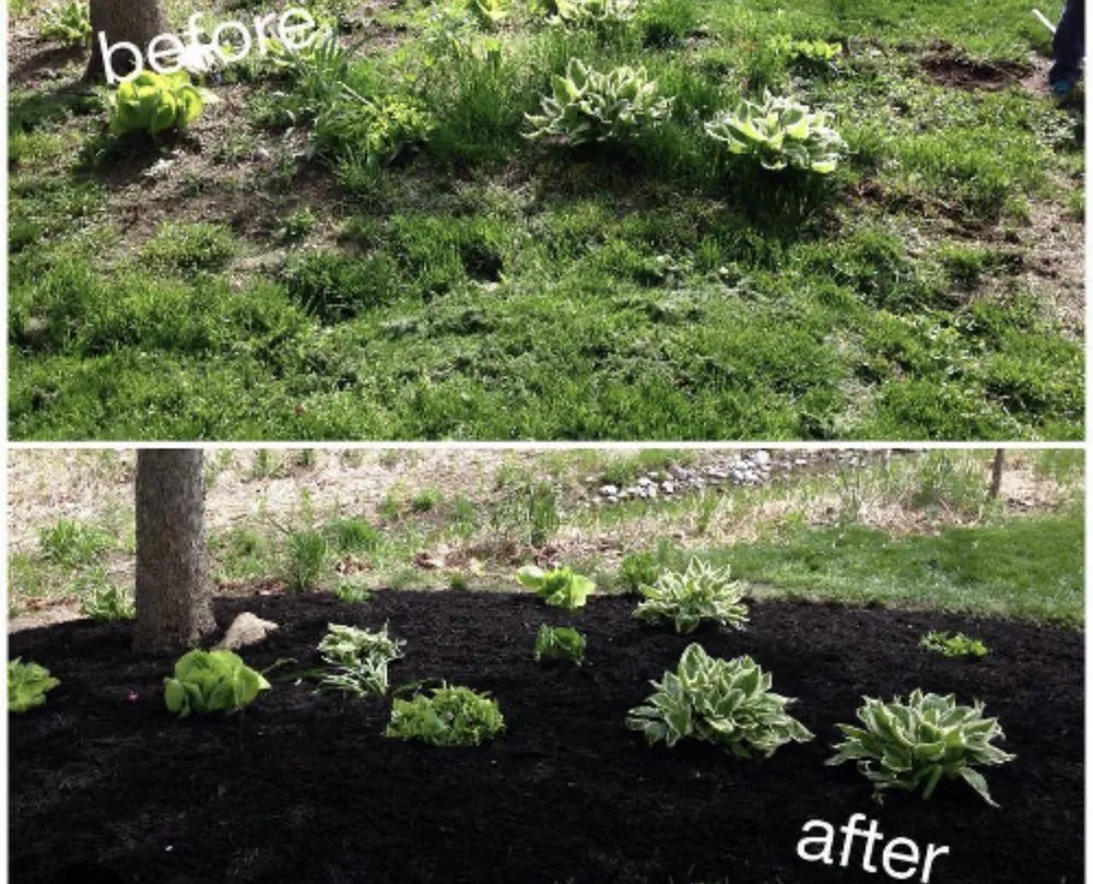 Trusted outdoor landscaping experts serving Lynchburg, VA - J&G’s Landscaping