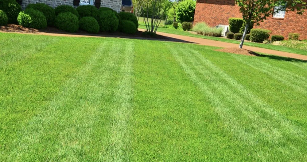 Local yard cleanup service in Lynchburg, VA by J&G’s Landscaping