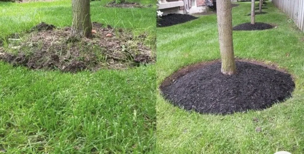 Top-rated landscape installation in Lynchburg, VA by J&G’s Landscaping