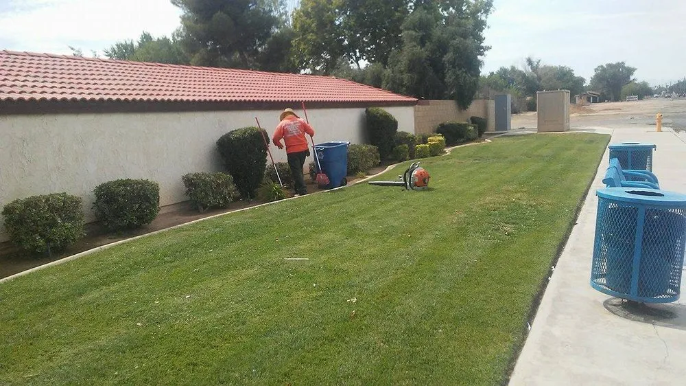 Reliable landscaping services for outdoor upgrades in Palmdale, CA by JGS Landscaping Pros