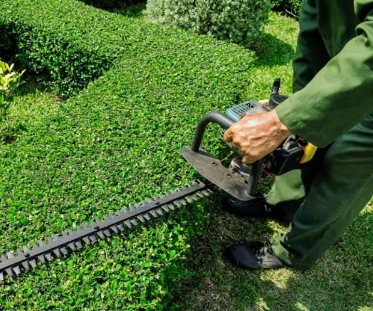 Custom residential landscaping for beautiful yards across Palmdale, CA - JGS Landscaping Pros