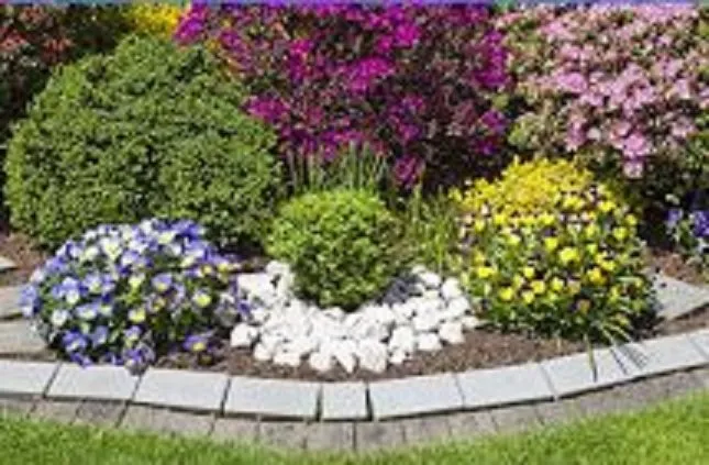 Affordable outdoor landscaping experts serving Palmdale, CA - JGS Landscaping Pros