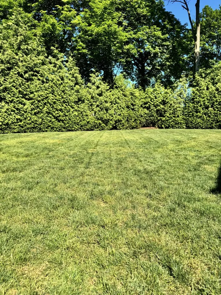 Custom outdoor landscaping for residential properties in South Plainfield, NJ by JGS Landscaping