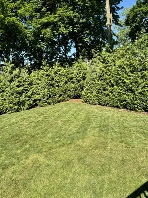 JGS Landscaping Logo