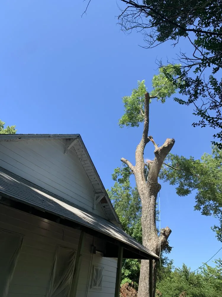 Trusted garden landscaping in Mount Pleasant, TX - Jg's Residential Lawncare Service