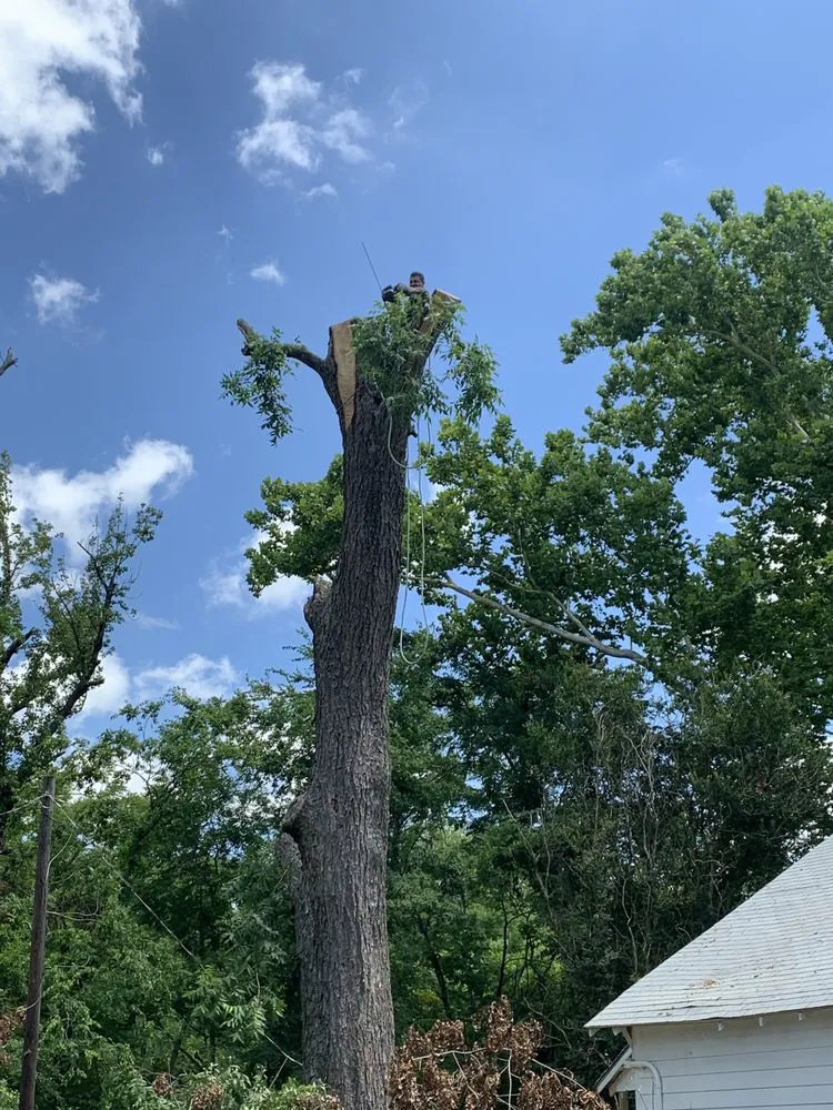 Professional yard maintenance experts serving Mount Pleasant, TX - Jg's Residential Lawncare Service