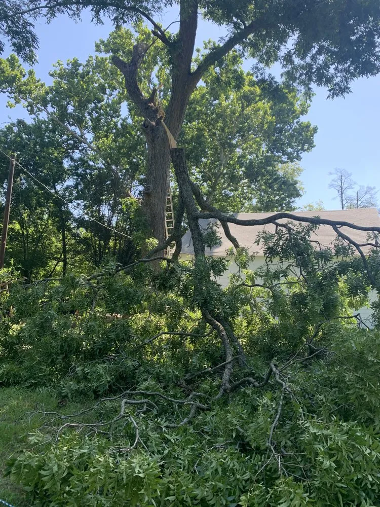 Custom landscaping services experts serving Mount Pleasant, TX - Jg's Residential Lawncare Service