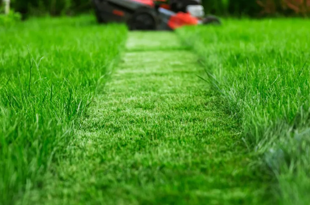 Expert garden landscaping experts serving Saucier, MS - JH Land Services