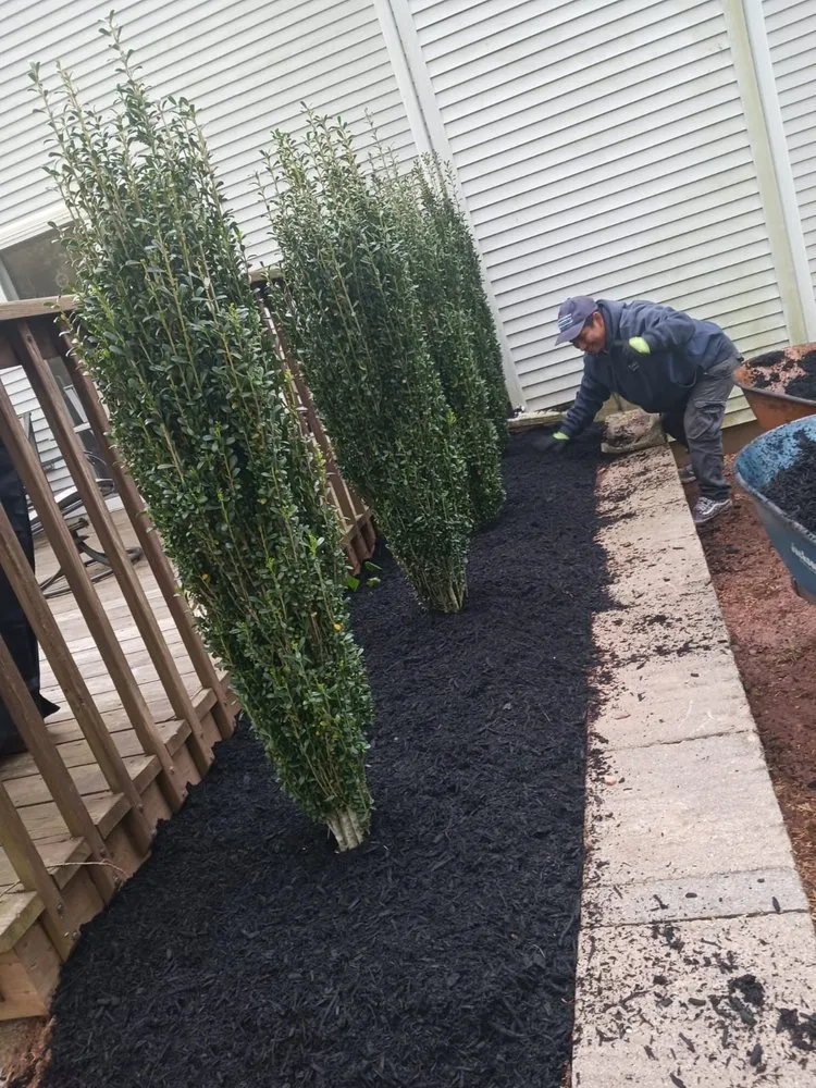 Reliable yard cleanup service for outdoor upgrades across North Plainfield, NJ - JH Landscape Services Company