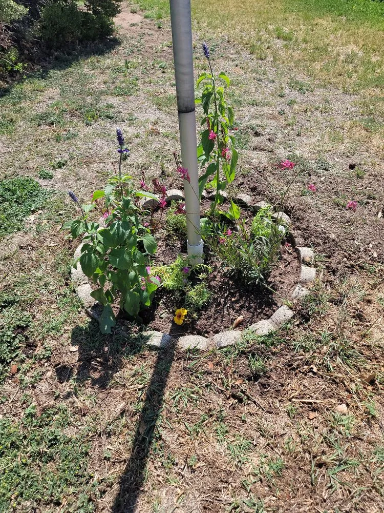 Expert landscaping services in Abilene, TX by JH Landscaping