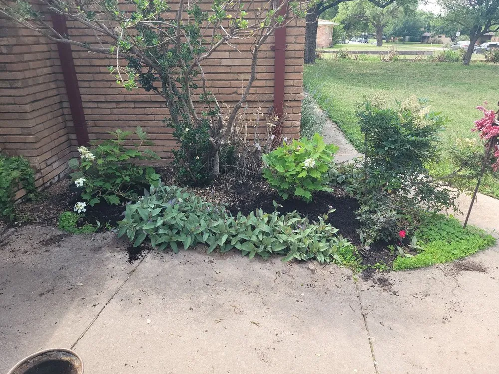 Local yard maintenance in Abilene, TX - JH Landscaping