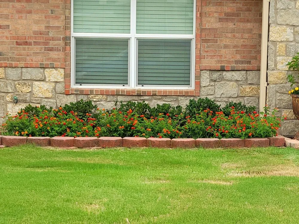 Local yard maintenance near you in Abilene, TX by JH Landscaping