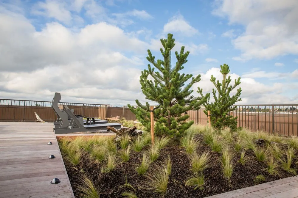 Expert outdoor landscaping for beautiful yards across Bothell, WA - JH Landscaping and Irrigation