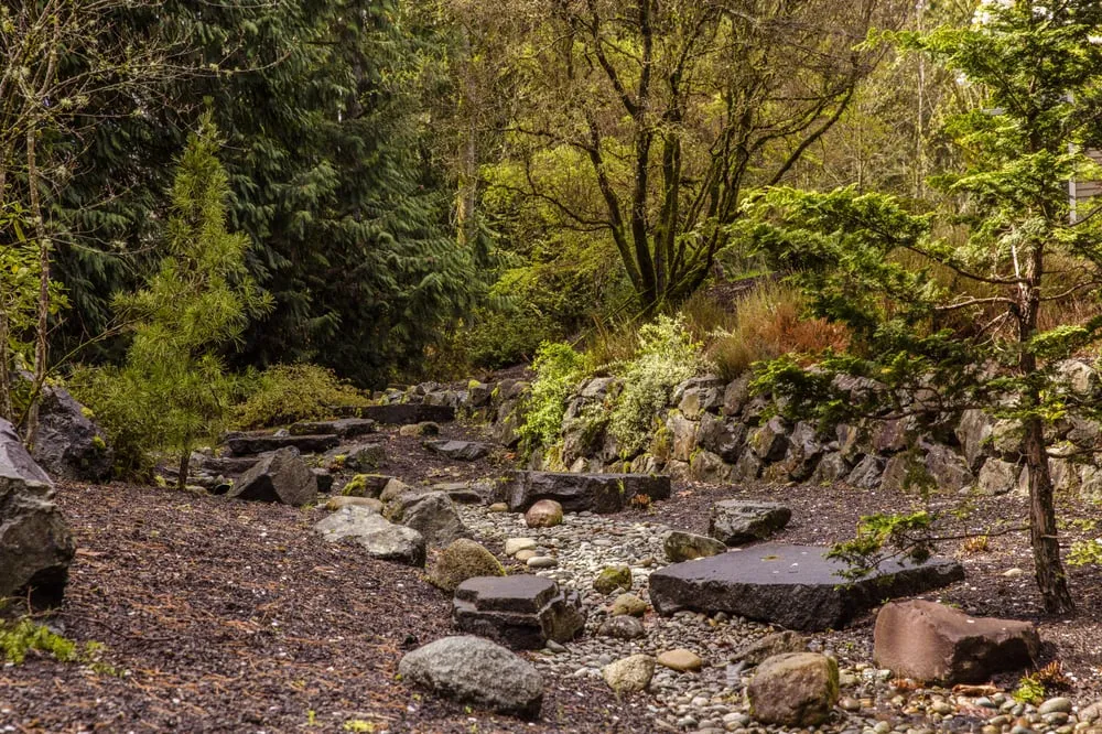 Trusted yard cleanup service in Bothell, WA by JH Landscaping and Irrigation