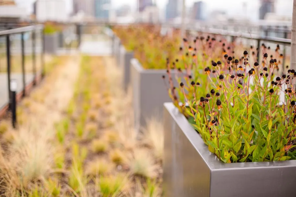 Expert landscape design in Bothell, WA by JH Landscaping and Irrigation