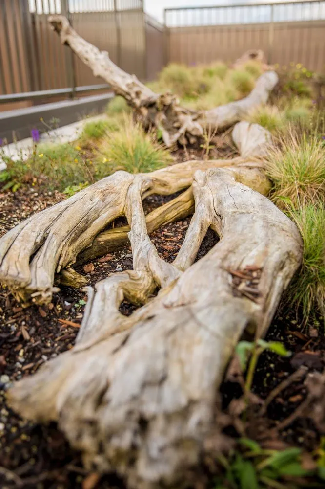 Trusted landscaping services for year-round maintenance across Bothell, WA - JH Landscaping and Irrigation