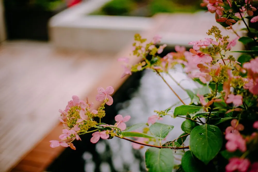 Top-rated landscape design in Bothell, WA by JH Landscaping and Irrigation