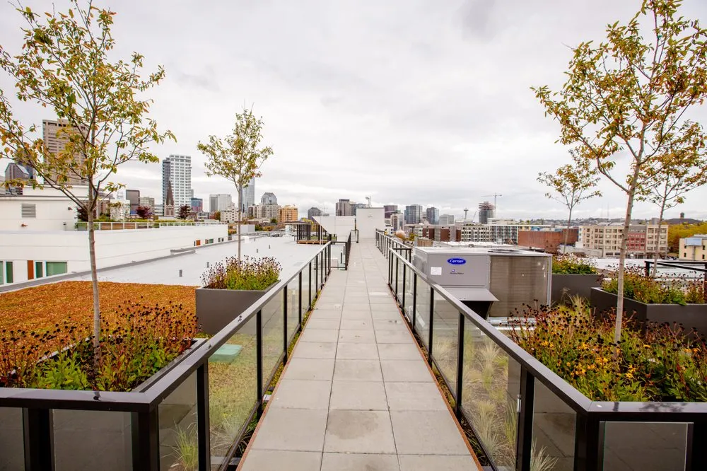 Trusted landscaping services in Bothell, WA by JH Landscaping and Irrigation