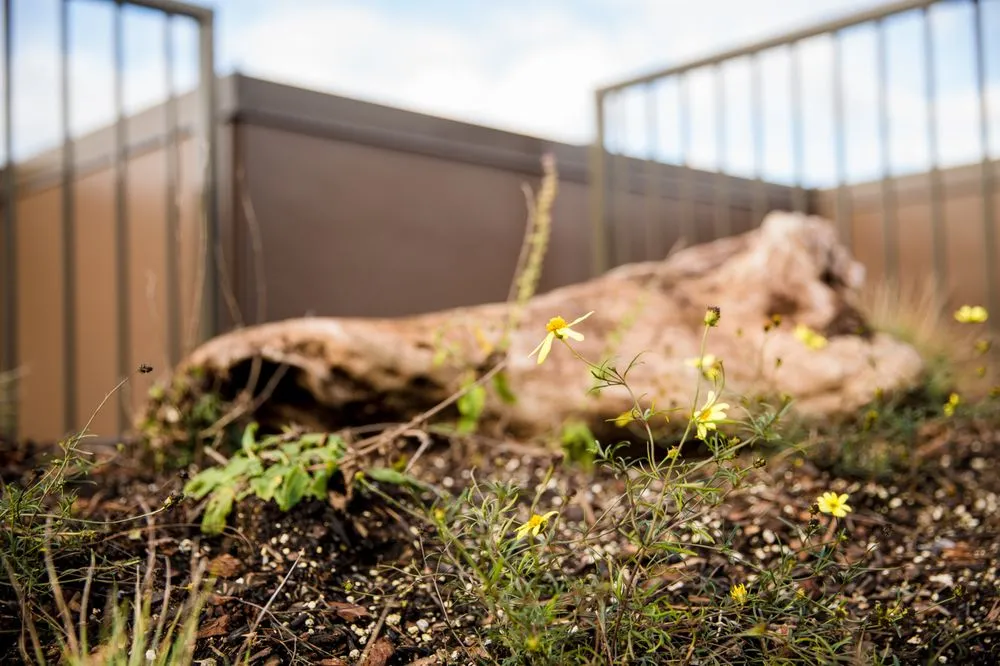 Trusted lawn mowing service for year-round maintenance across Bothell, WA - JH Landscaping and Irrigation