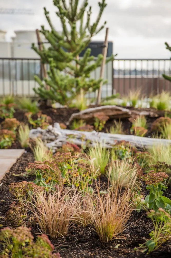 Reliable landscaping services in Bothell, WA - JH Landscaping and Irrigation