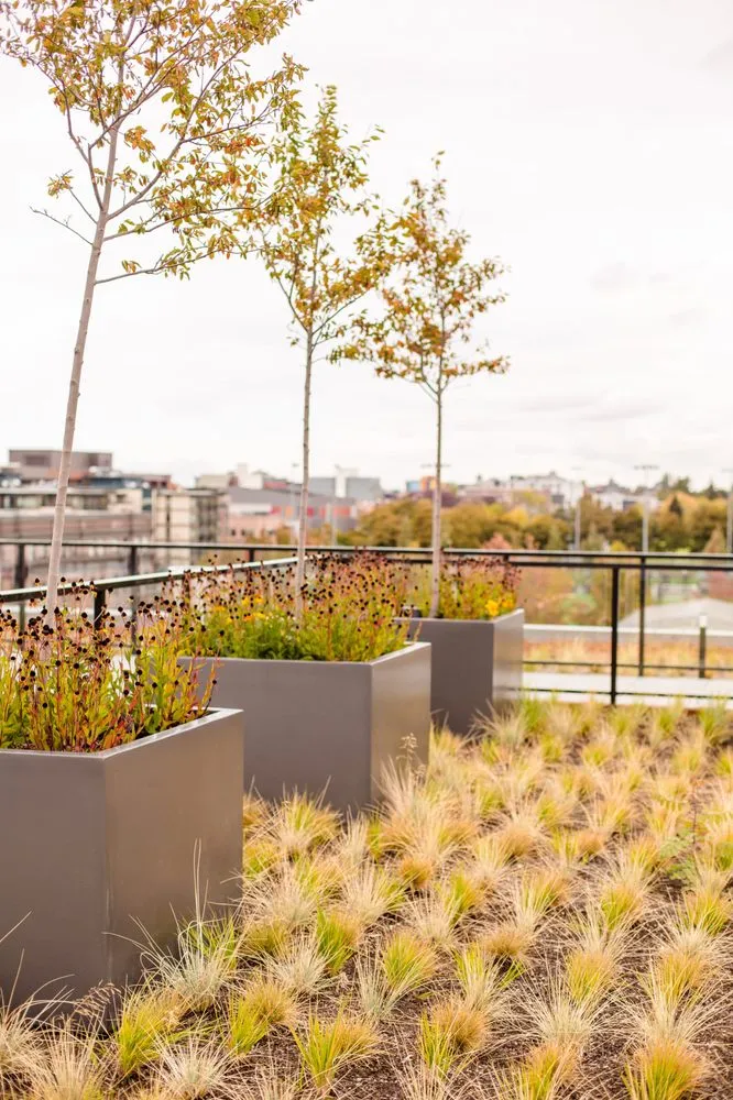 Custom lawn mowing service in Bothell, WA by JH Landscaping and Irrigation