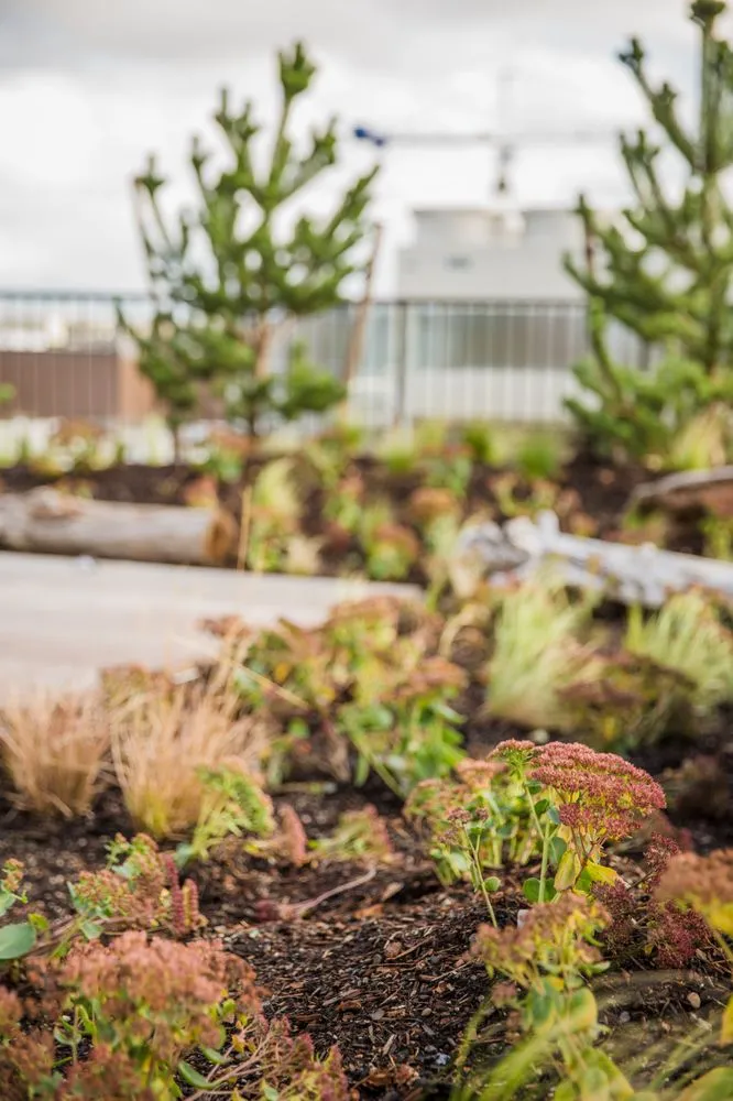 Local lawn mowing service for residential properties in Bothell, WA by JH Landscaping and Irrigation