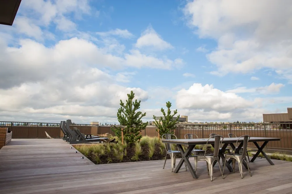 Professional landscape installation in Bothell, WA - JH Landscaping and Irrigation