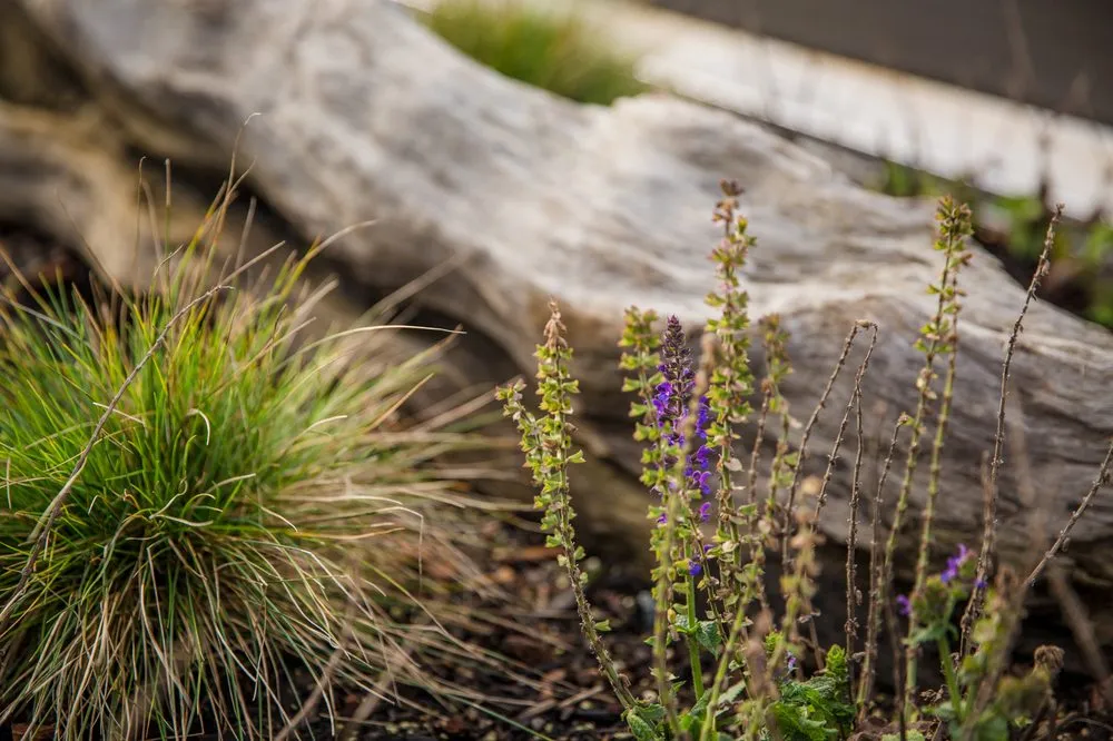 Trusted lawn mowing service in Bothell, WA by JH Landscaping and Irrigation