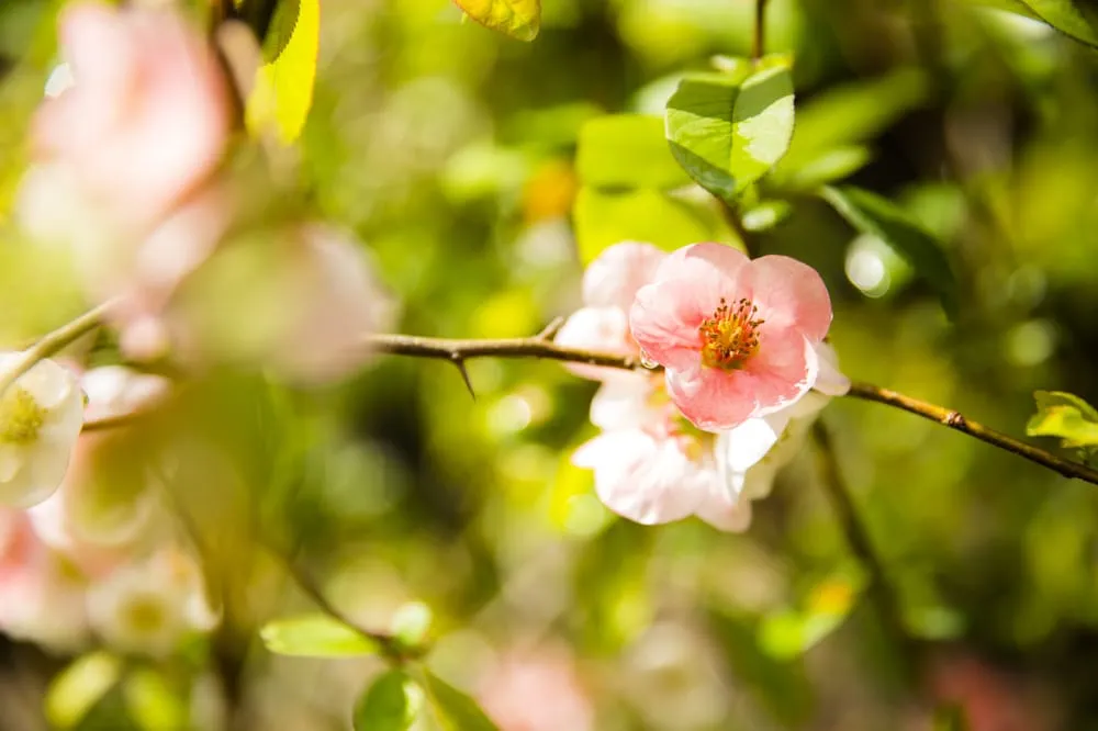 Reliable outdoor landscaping in Bothell, WA - JH Landscaping and Irrigation