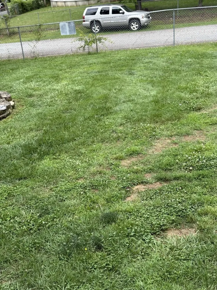 Custom yard cleanup service with custom design in Connelly Springs, NC by J&H Landscaping and Pressure Washing