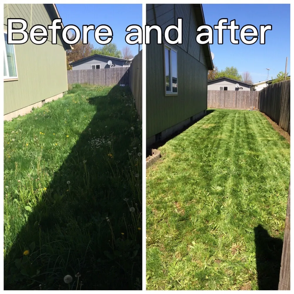 Professional yard cleanup service for year-round maintenance across Independence, OR - JH Landscaping Maintenace