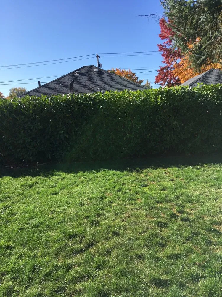 Local lawn care service in Independence, OR - JH Landscaping Maintenace