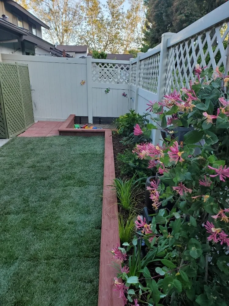 Professional landscape installation in Oceanside, CA by JH Landscaping