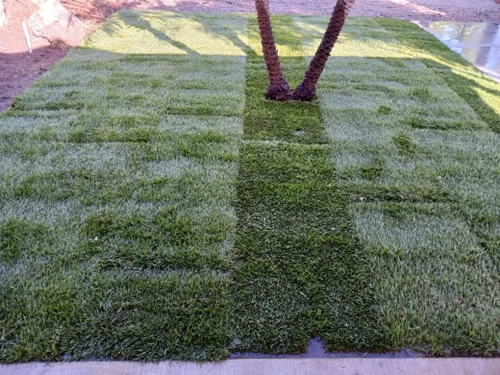 Trusted lawn mowing service experts serving Oceanside, CA - JH Landscaping