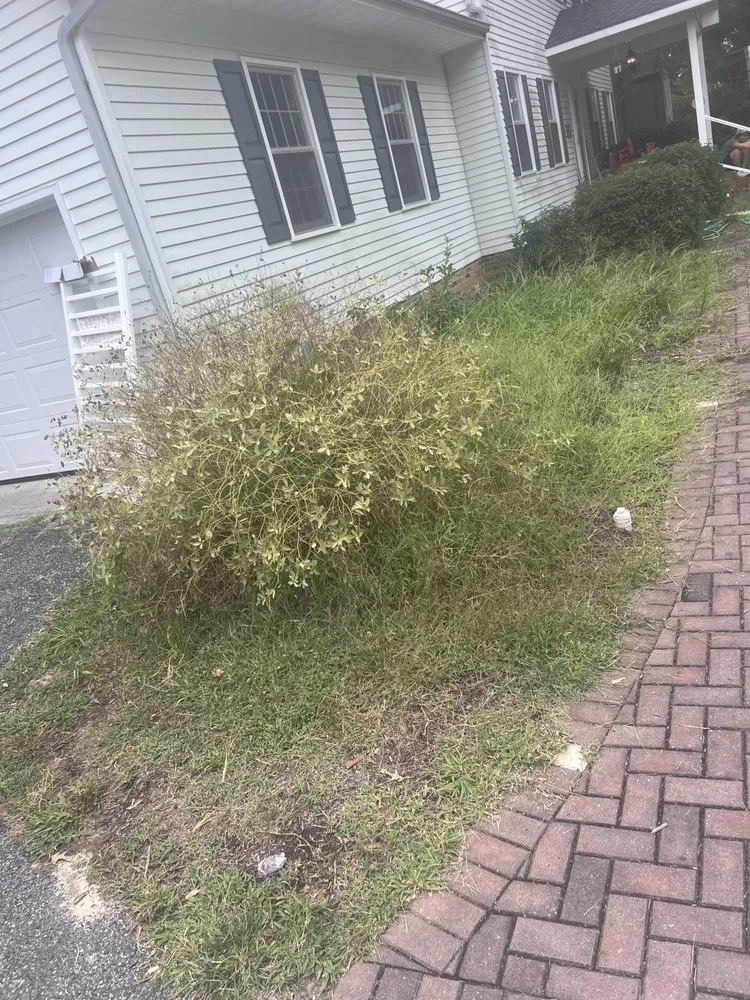 Professional garden landscaping in Salisbury, MD by J&H Landscaping